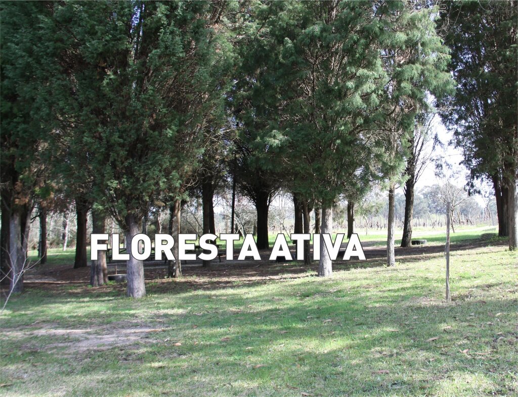 Programa “Floresta Ativa”