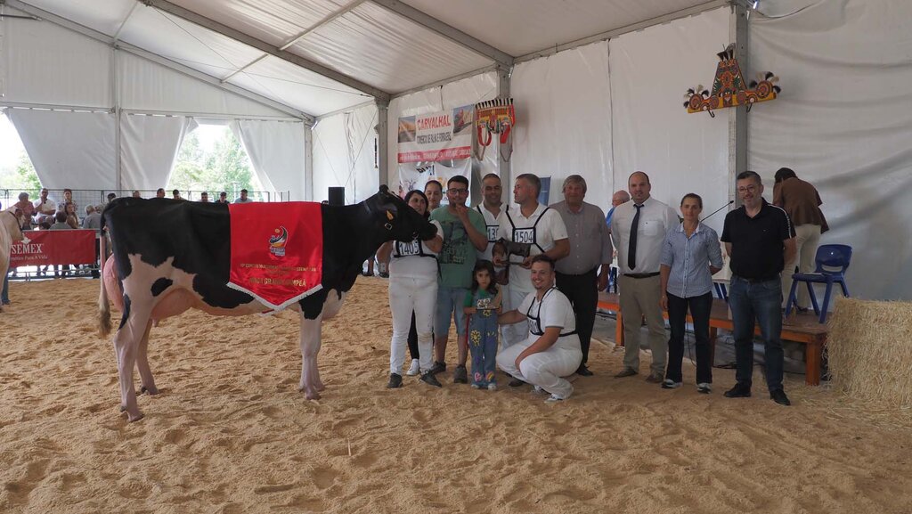 X CONCURSO REGIONAL DA RAÇA HOLSTEIN FRÍSIA – ANIMAIS ADULTOS