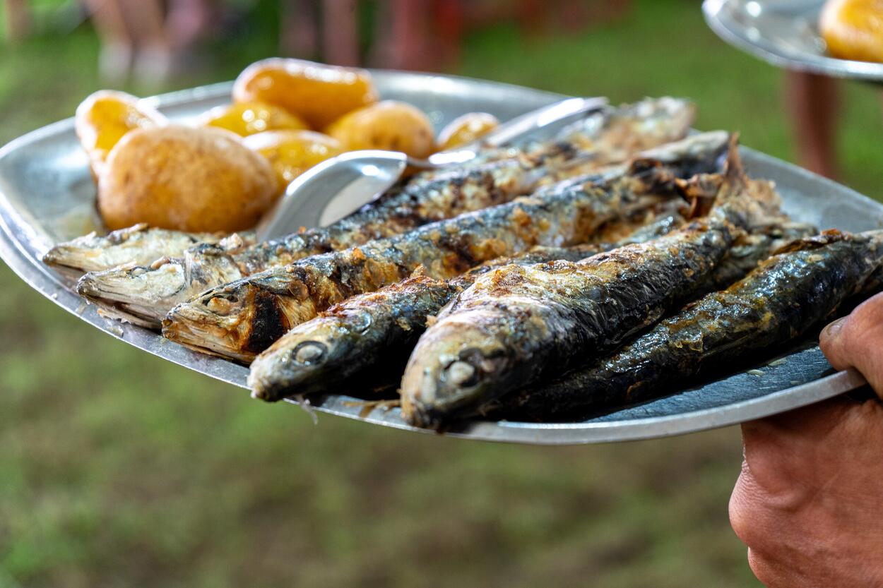  Festival da Sardinha serviu mais de 4 mil refeições 