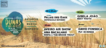 Festival Dunas de São Jacinto regressa com David Fonseca, Air Show e espetáculo noturno inédito