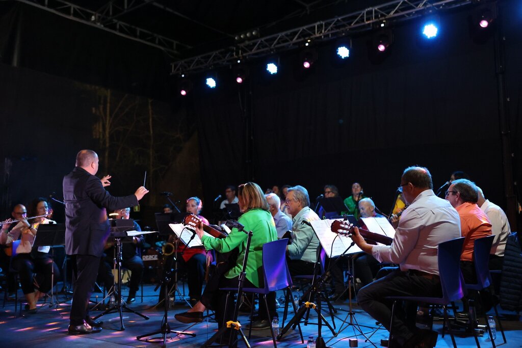 Orquestra Desigual da Bairrada anima Anadia
