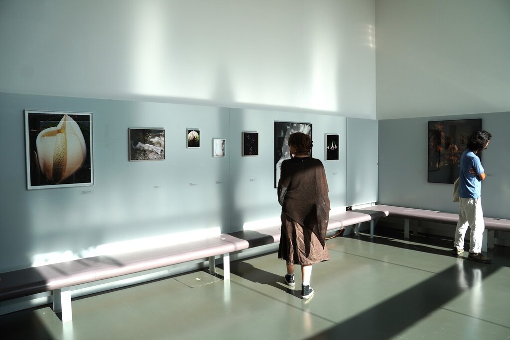 Unidade de Saúde da Branca recebe quarta exposição CURARTE 