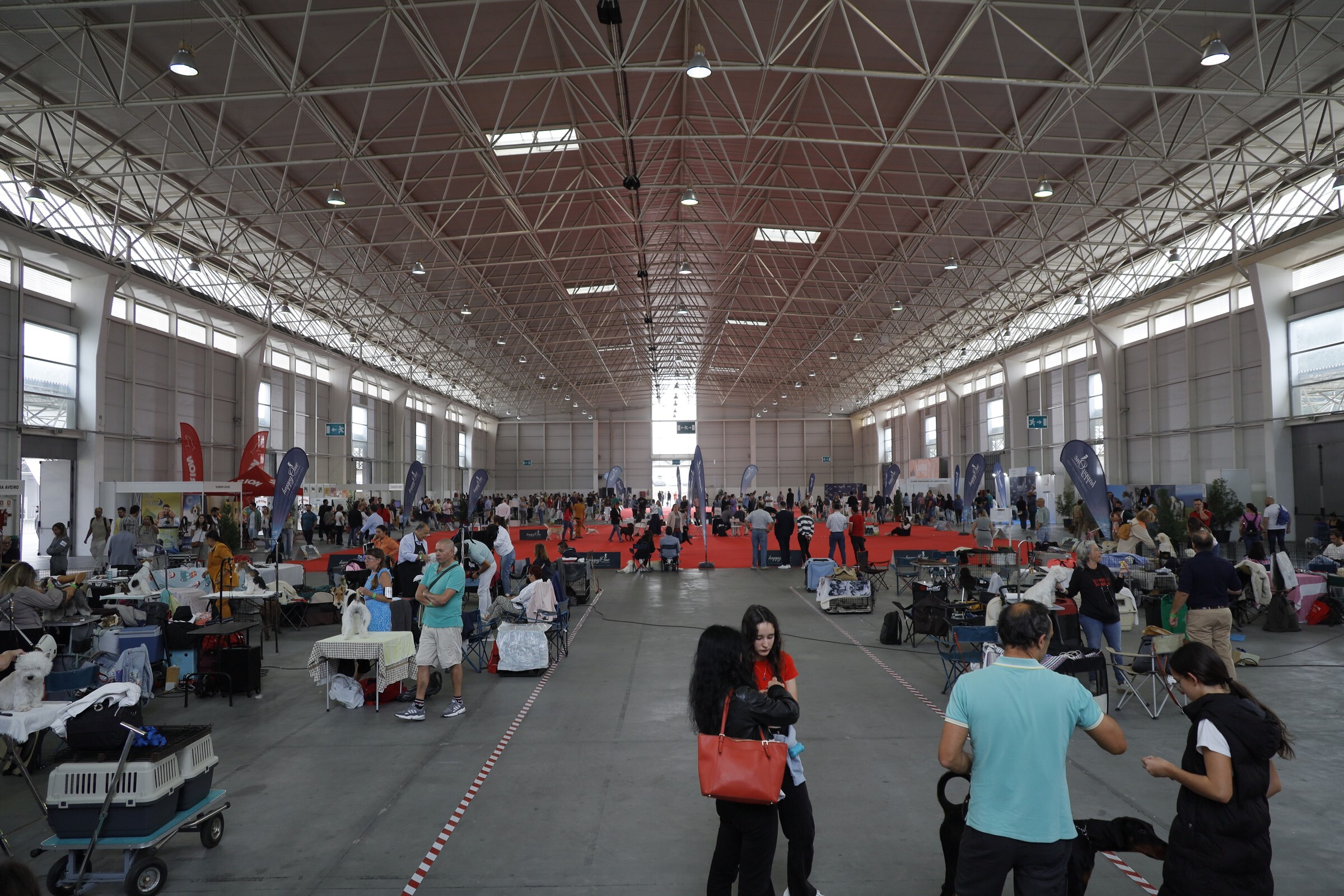 Exposição Canina e Felina Internacional de Aveiro 2025