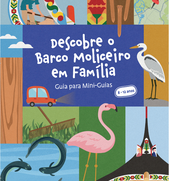 A descoberta do Barco Moliceiro pelos mais pequenos!