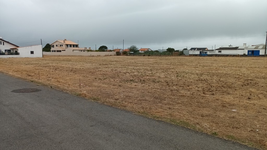 Regulamento de Gestão de Vegetação no Interior das Áreas Edificadas já entrou em vigor