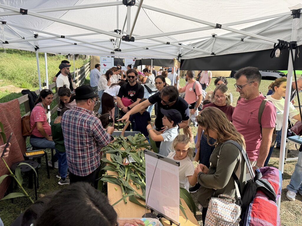 Município de Vagos marca presença na Festa do Outono 2025 em Serralves