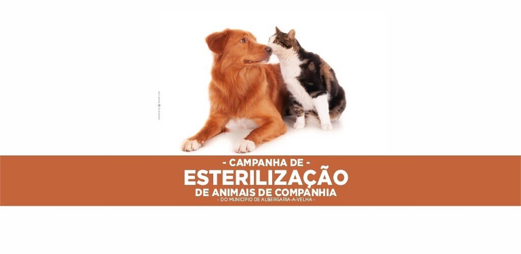 Nova campanha de esterilização de animais de companhia 