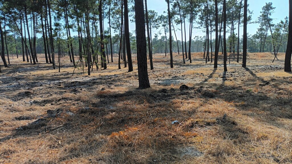 Assinado contrato interadministrativo para proteção contra incêndios na Nossa Senhora dos Campos