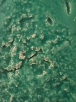 Visita performativa pela artista Ana Amaral 