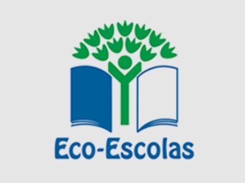 Educação Ambiental: Município de Aveiro destaca-se com 33 escolas