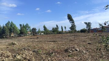 Execução das faixas de gestão de combustível 2026