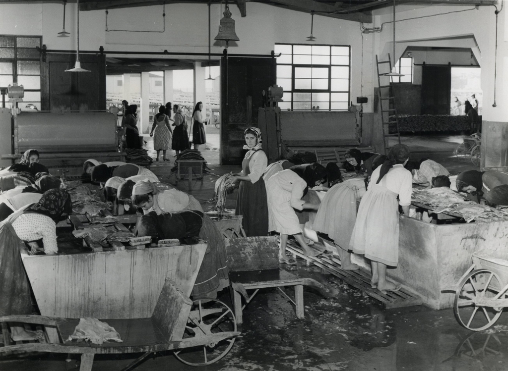 Museu Marítimo de Ílhavo  assinala Dia Nacional do Mar  durante quatro dias 