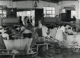 Museu Marítimo de Ílhavo  assinala Dia Nacional do Mar  durante quatro dias 