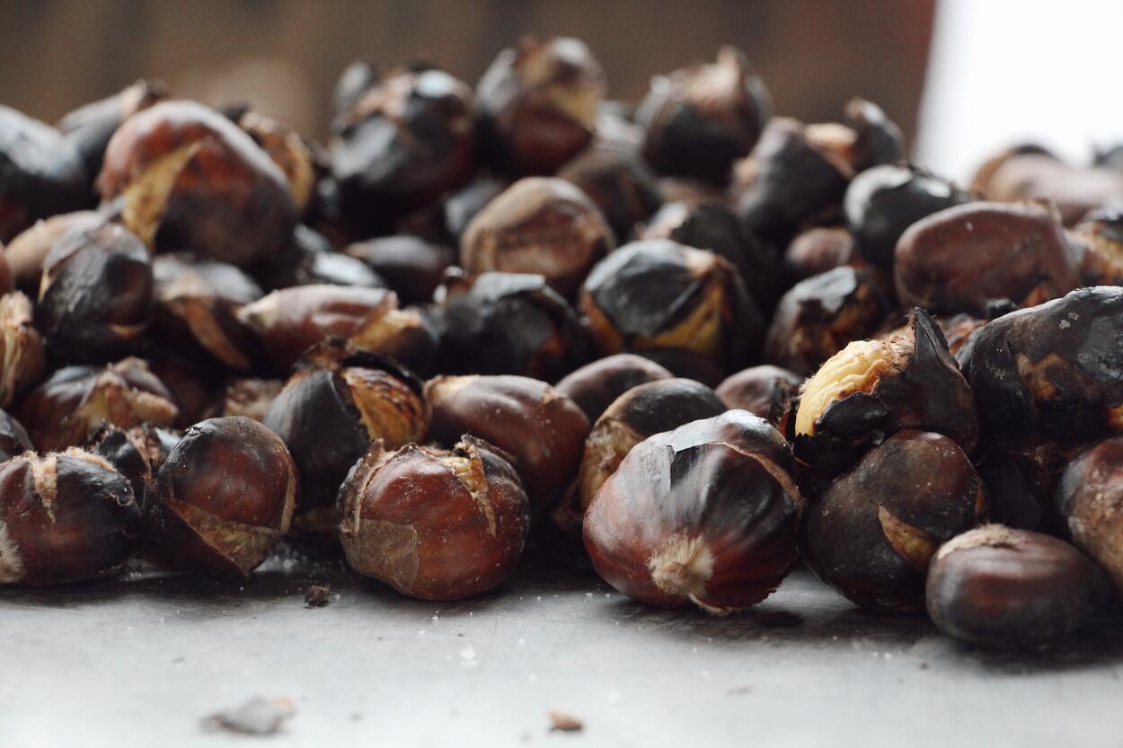 Magusto da Maior Idade agendado para esta sexta-feira