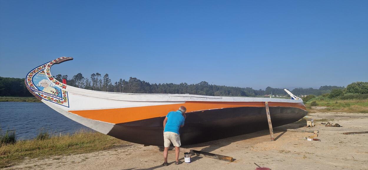 Barco Moliceiro a Património da Humanidade: decisão em dezembro