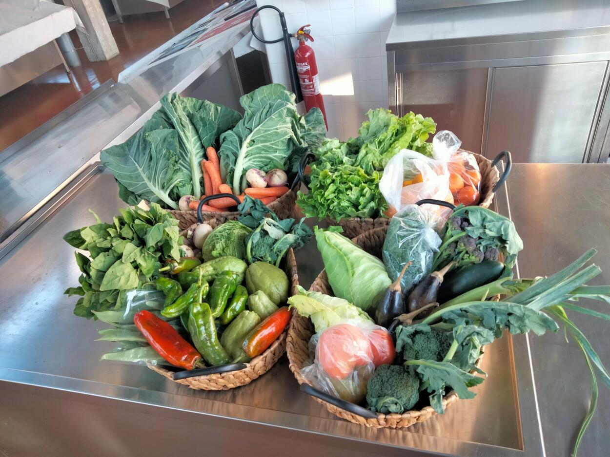 Campanha "Aqui, Fruta Feia não vai para o Lixo!” 