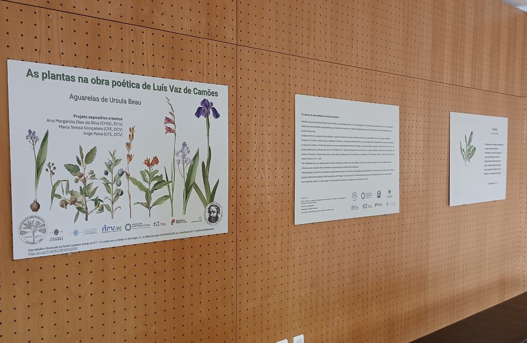 Município de Anadia dinamiza projeto Biblioescola