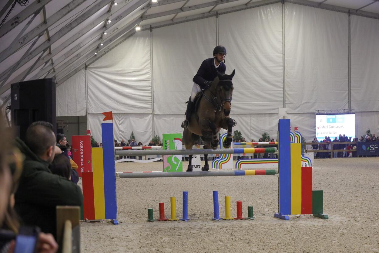 Agrovouga 2025  Reforçado o papel estratégico no setor agroalimentar e equestre 