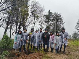 Toyota Portugal e Município de Albergaria-a-Velha unidos em ação de plantação de árvores