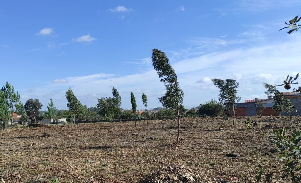 Regulamento de Gestão de Combustível no interior das áreas edificadas