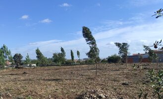 Regulamento de Gestão de Combustível no interior das áreas edificadas