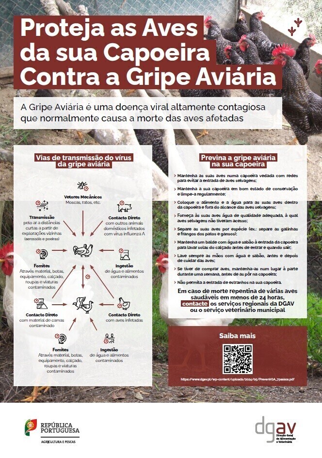 EDITAL DA DGAV - GRIPE AVIÁRIA