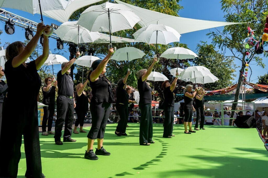 Festival Cabelos Brancos nomeado em quatro categorias dos Iberian Festival Awards