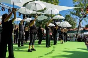 Festival Cabelos Brancos nomeado em quatro categorias dos Iberian Festival Awards