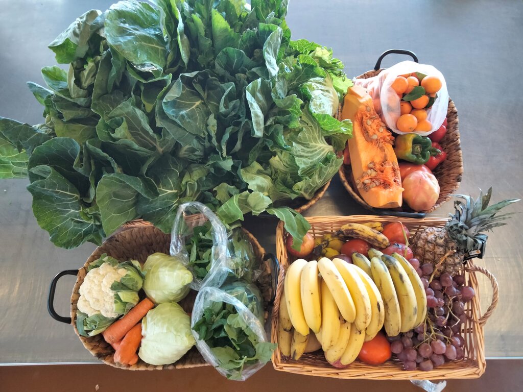 Campanha "Aqui, Fruta Feia não vai para o Lixo!” reuniu 350 quilos de legumes e frutas para insti...