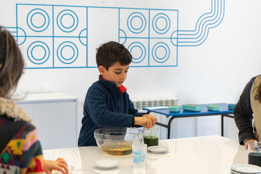 Estaleiro celebra 6.º aniversário com tarde de ciência para famílias