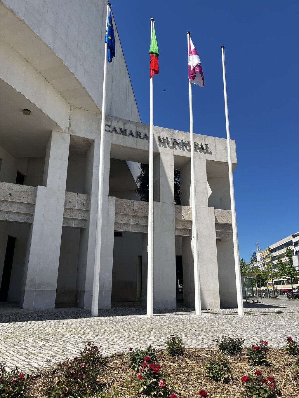 Apoio ao Ensino Superior cresce e atinge número recorde de bolsas
