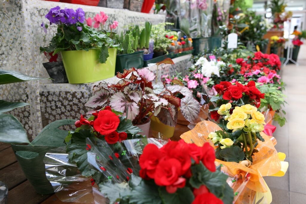 Hasta Pública - atribuição de 3 lugares de venda no Mercado Manuel Firmino 