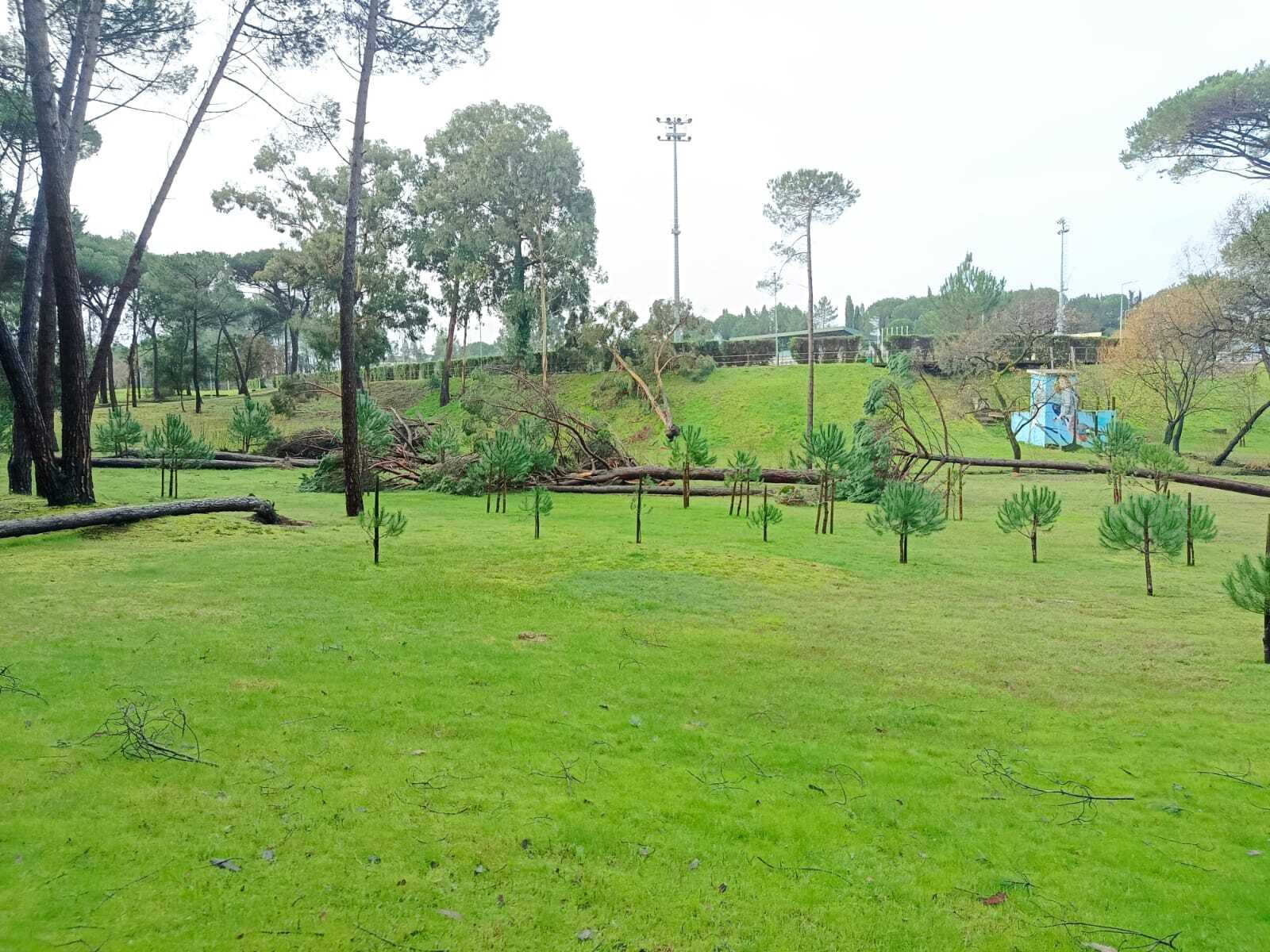Circulação no Parque dos Pinheiros Mansos