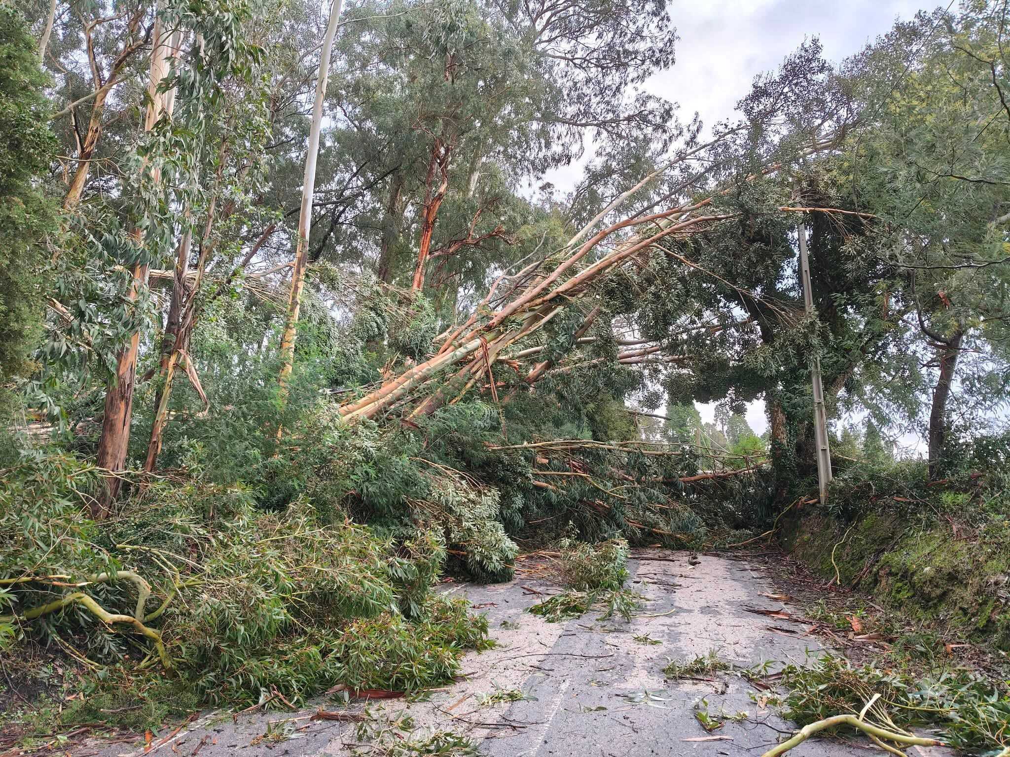 Depressão Kristin no concelho de Anadia