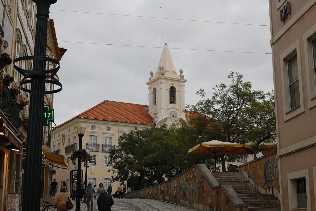 Câmara de Aveiro cria Gabinete de Apoio aos Cidadãos, Empresas e Instituições afetadas pelo mau t...