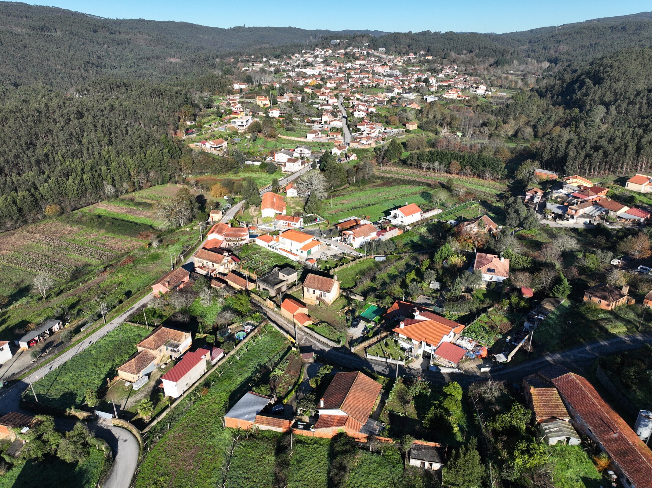 Albergaria-a-Velha supera metas nacionais e torna-se o 5.º município com melhor desempenho no BUPi