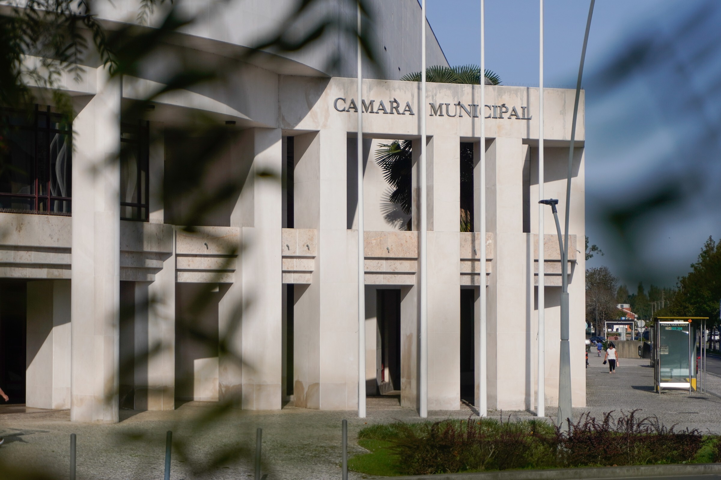 Município de Ílhavo avança com regulamento do programa “Criar Raízes”