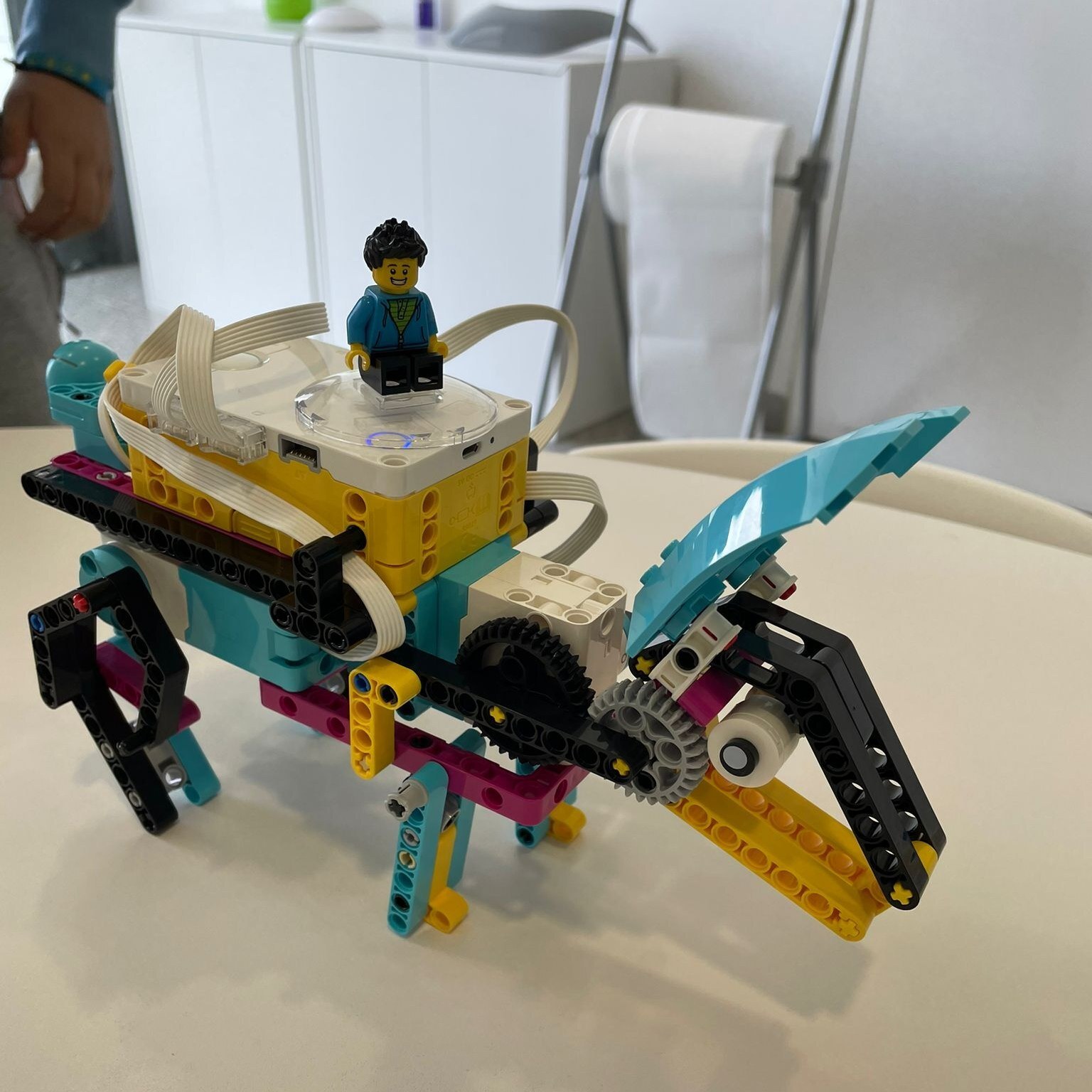 Programas de férias da Páscoa abrem inscrições online na próxima segunda-feira