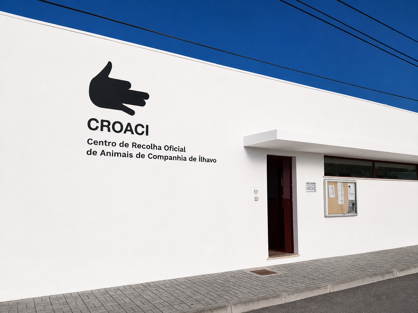 Campanha de vacinação antirrábica inicia esta quarta-feira