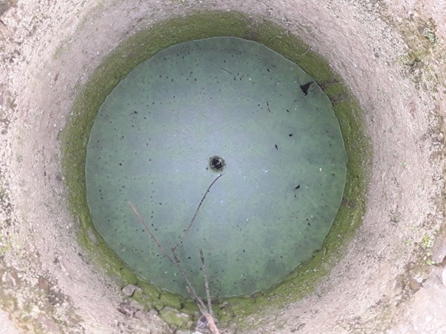 “O TEMPO DA ÁGUA” NA EXPOSIÇÃO DE ADÉLIA GONÇALVES 