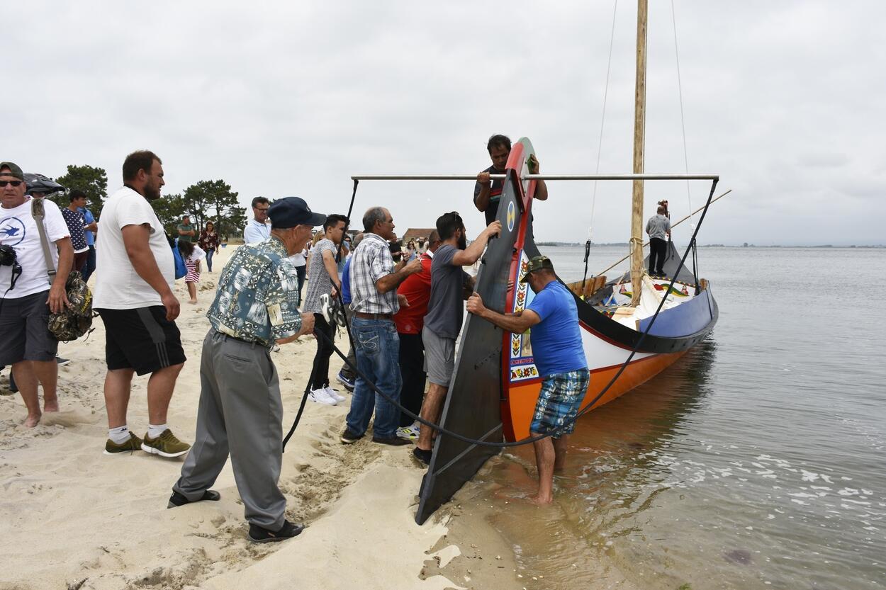 MURTOSA DEU À RIA MAIS UM MOLICEIRO TRADICIONAL