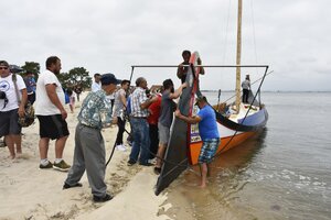 MURTOSA DEU À RIA MAIS UM MOLICEIRO TRADICIONAL