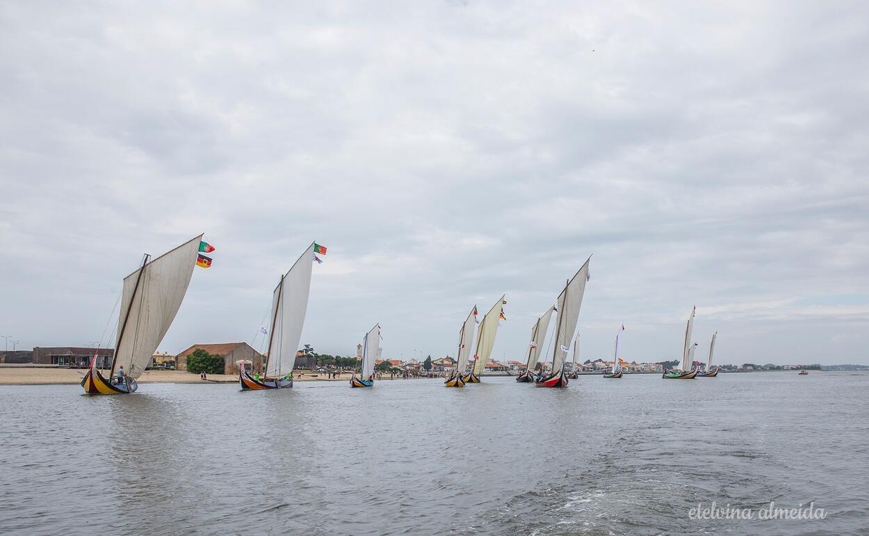 TORREIRA RECEBE PARTIDA DA GRANDE REGATA DO RIA DE AVEIRO WEEKEND