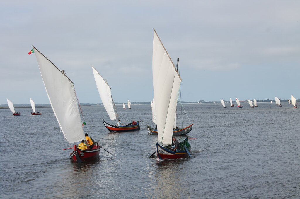 CAIS DO BICO RECEBEU CORRIDA DE BATEIRAS À VELA