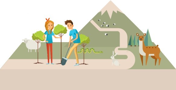 Voluntariado Jovem para a defesa da floresta