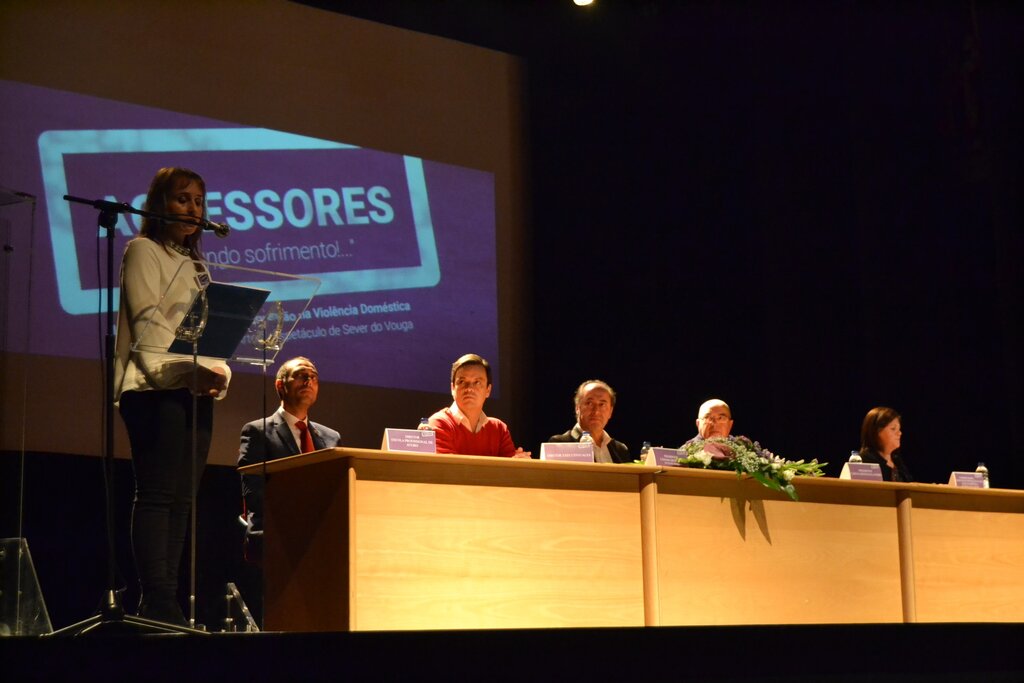 II Encontro da Rede de Intervenção na Violência Doméstica