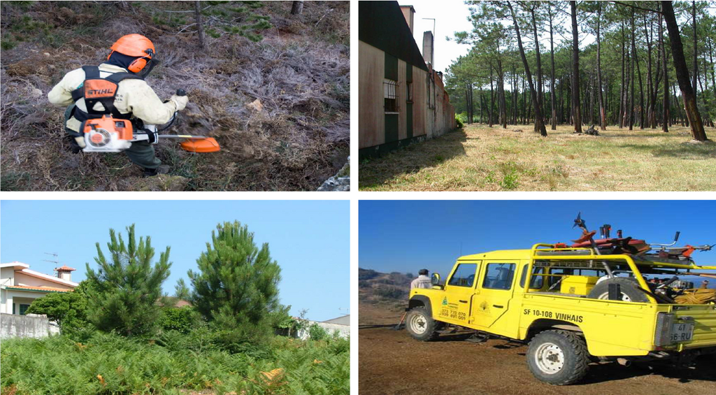 Câmara Municipal e AFBV organizam jornada de sensibilização