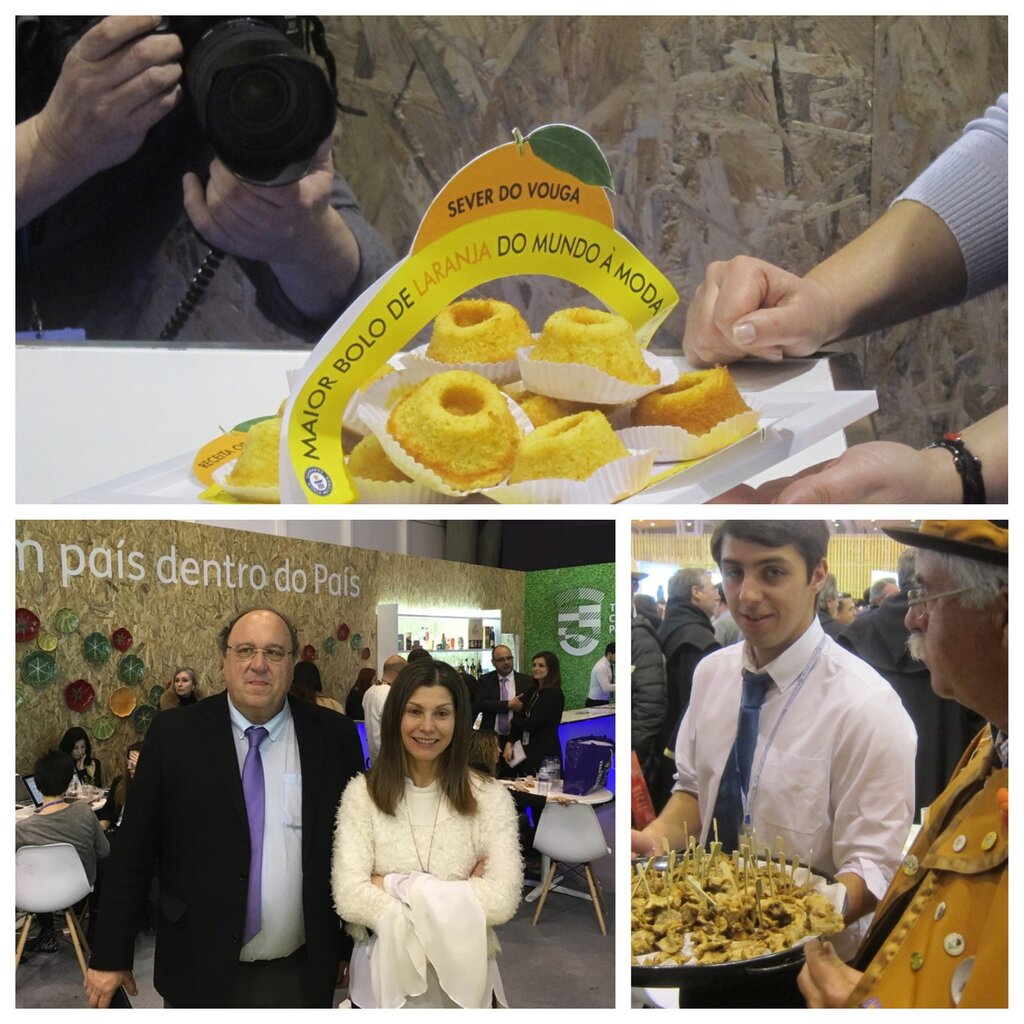 Sever do Vouga promove território na BTL