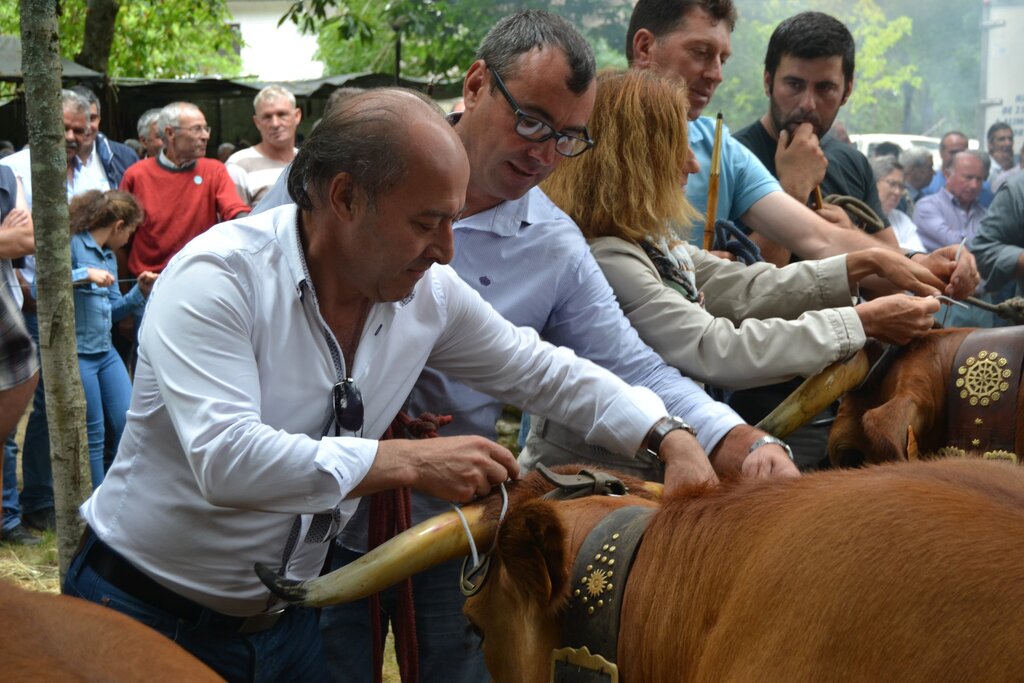 Câmara Municipal incentiva produção da raça arouquesa