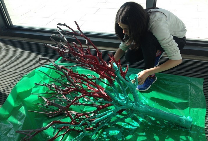 Programa Vocação 2019/Turno 3 - Lista de Colocados